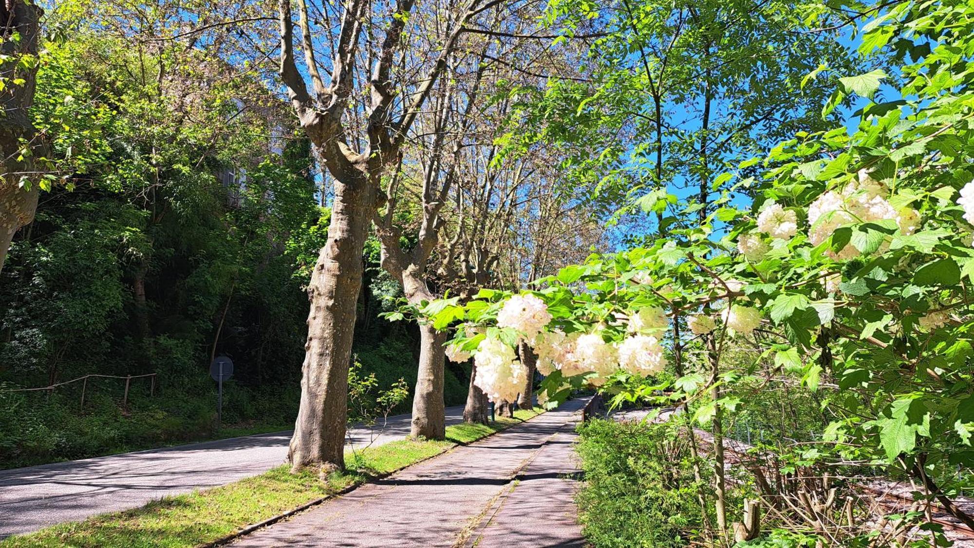 Du Doubs Au Doux Villa Lamastre Luaran gambar